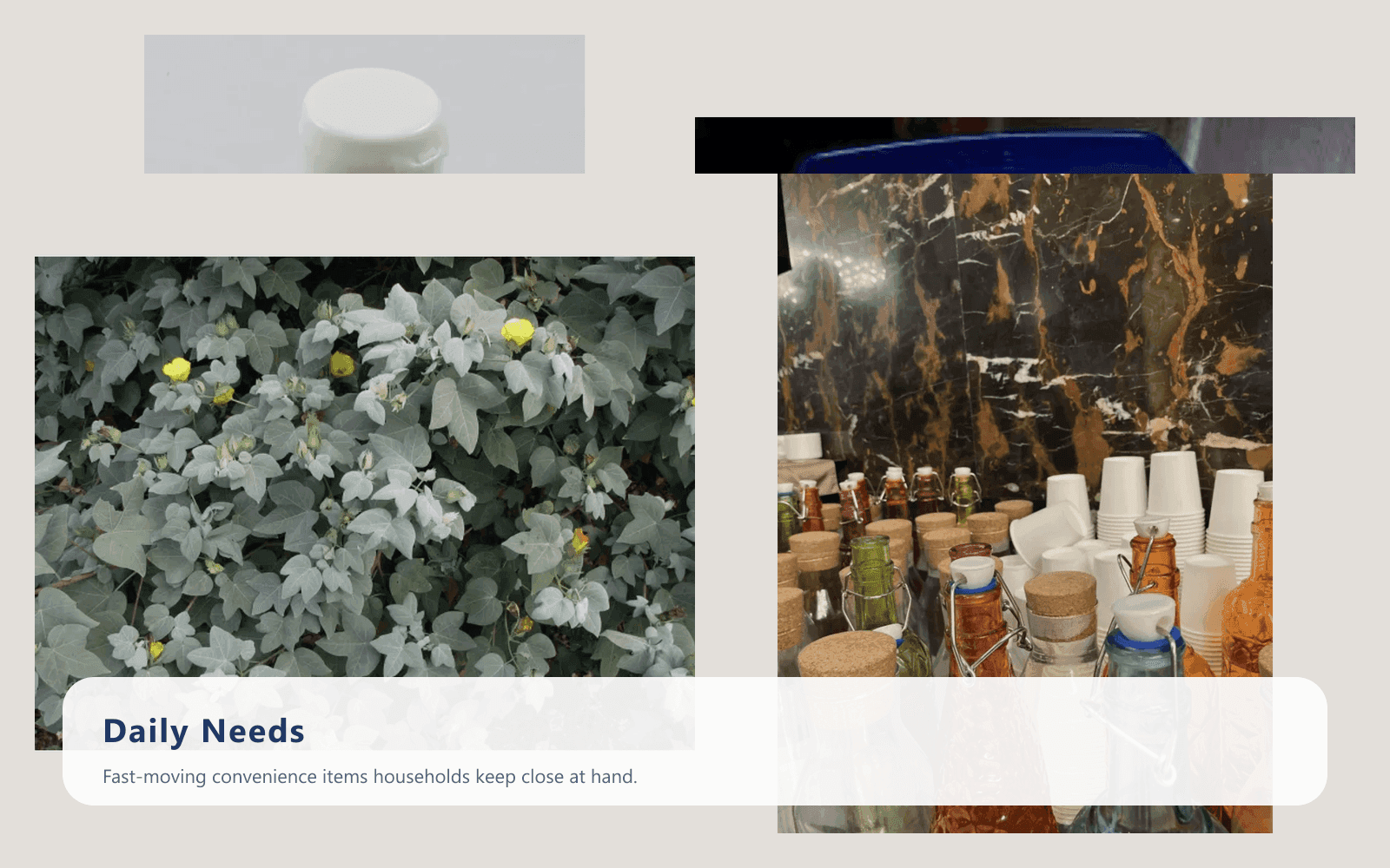 Fresh Picks for Everyday Living